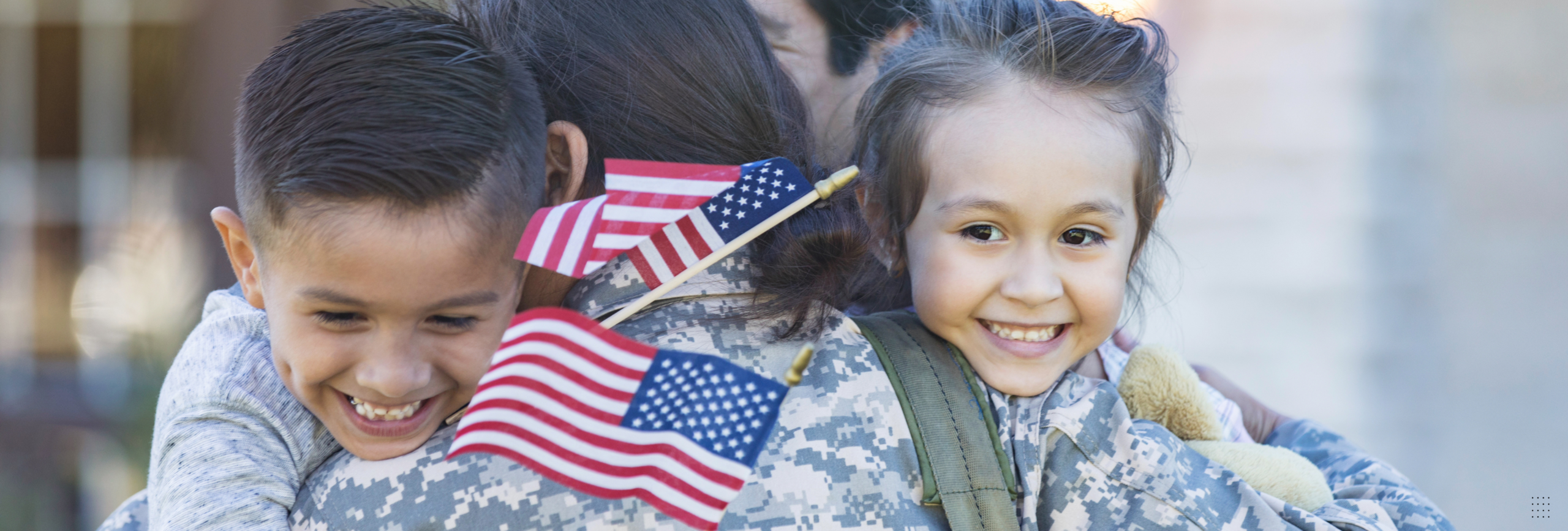 Veterans Drug Rehab Western Springs IL