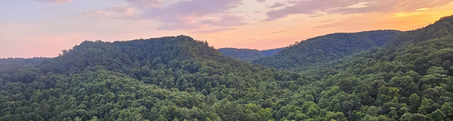 PTSD and Trauma Therapy Program Lincolnshire IL